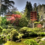 Japanese Tea Garden